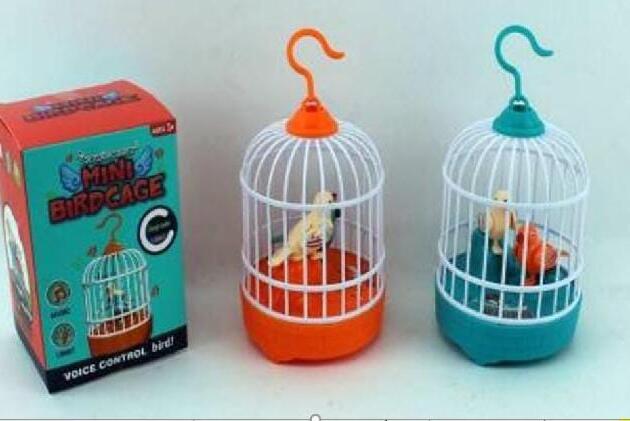Happy Humming Bird